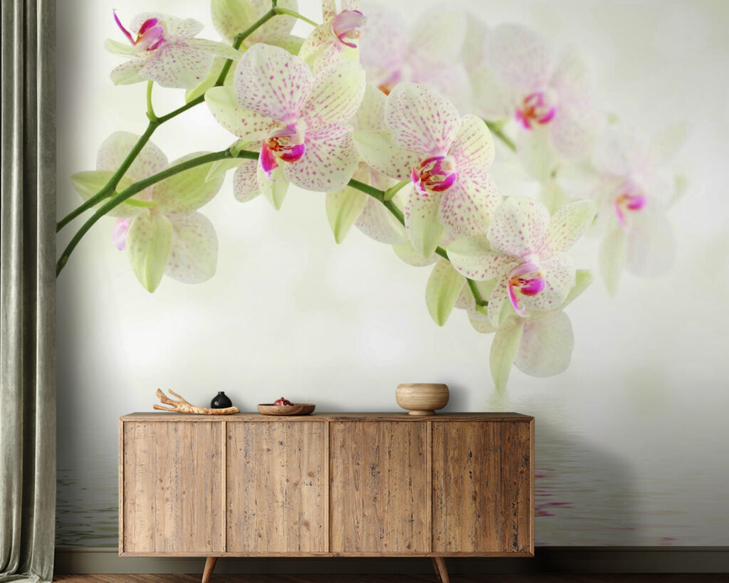 Delicate orchids over gentle water