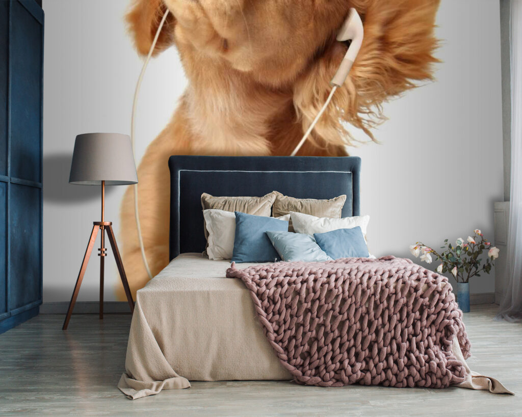 Pes so slúchadlami na ušiach u56551pib87 1024x819 - Pes so slúchadlami na ušiach - tegory