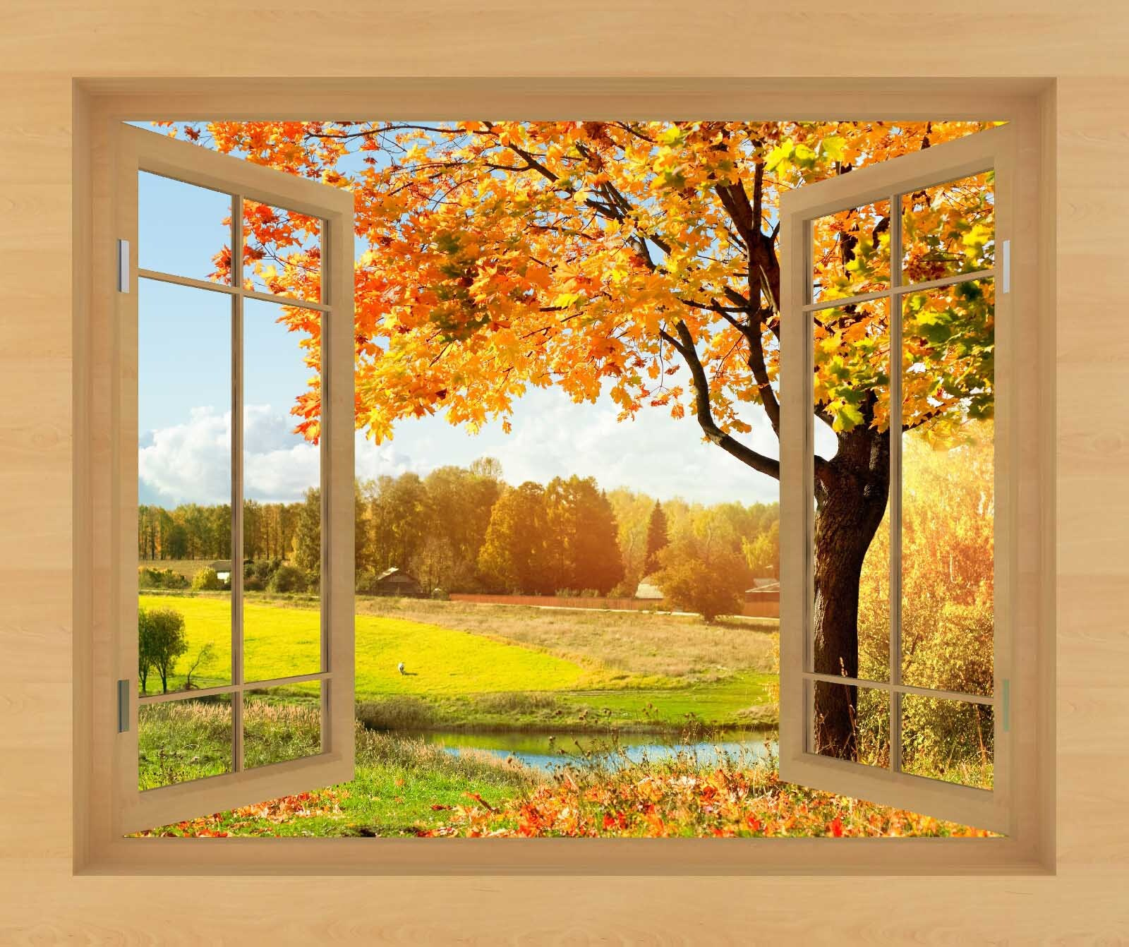 Window with trees and a river Window with trees and a river