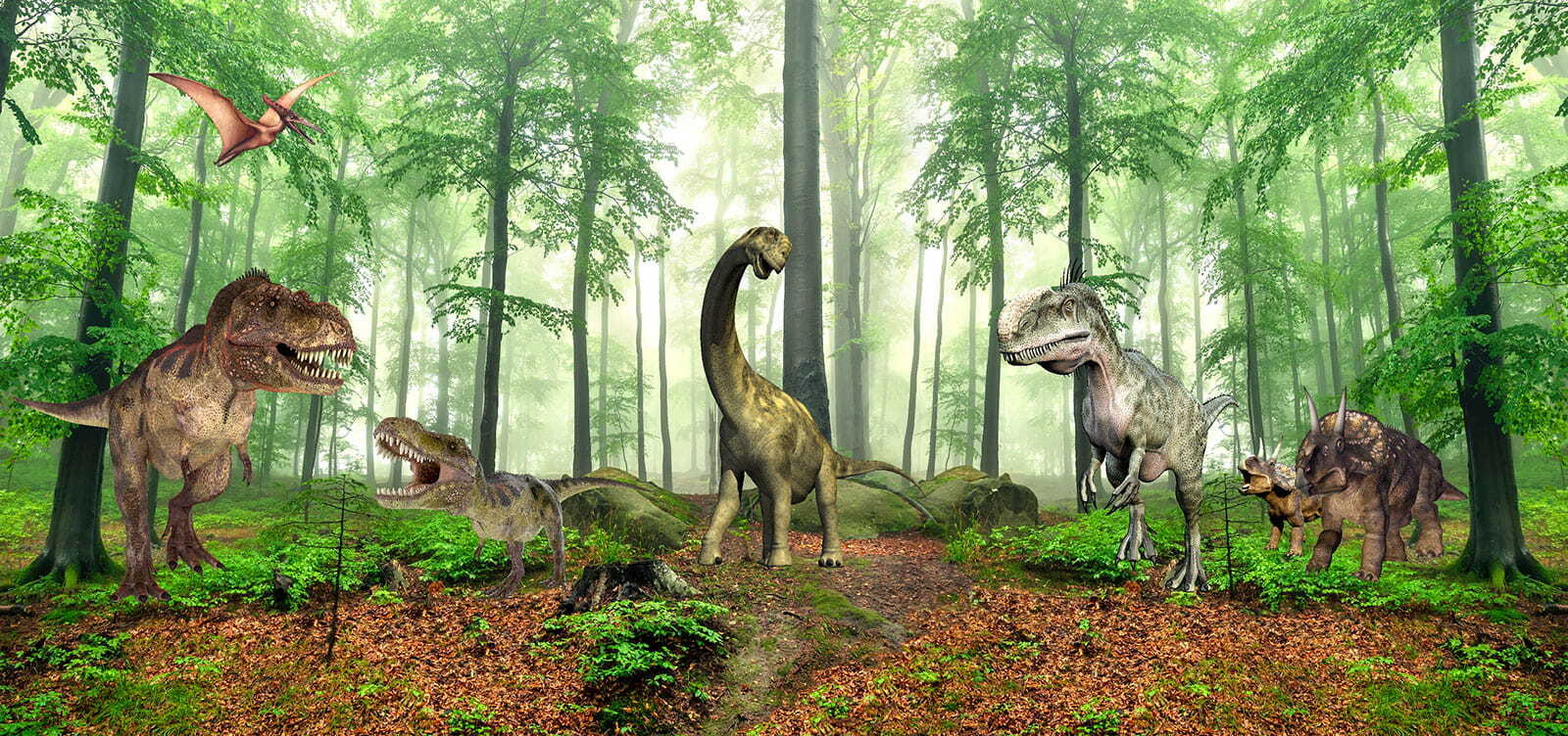 Group of dinosaurs in a forest Group of dinosaurs in a forest