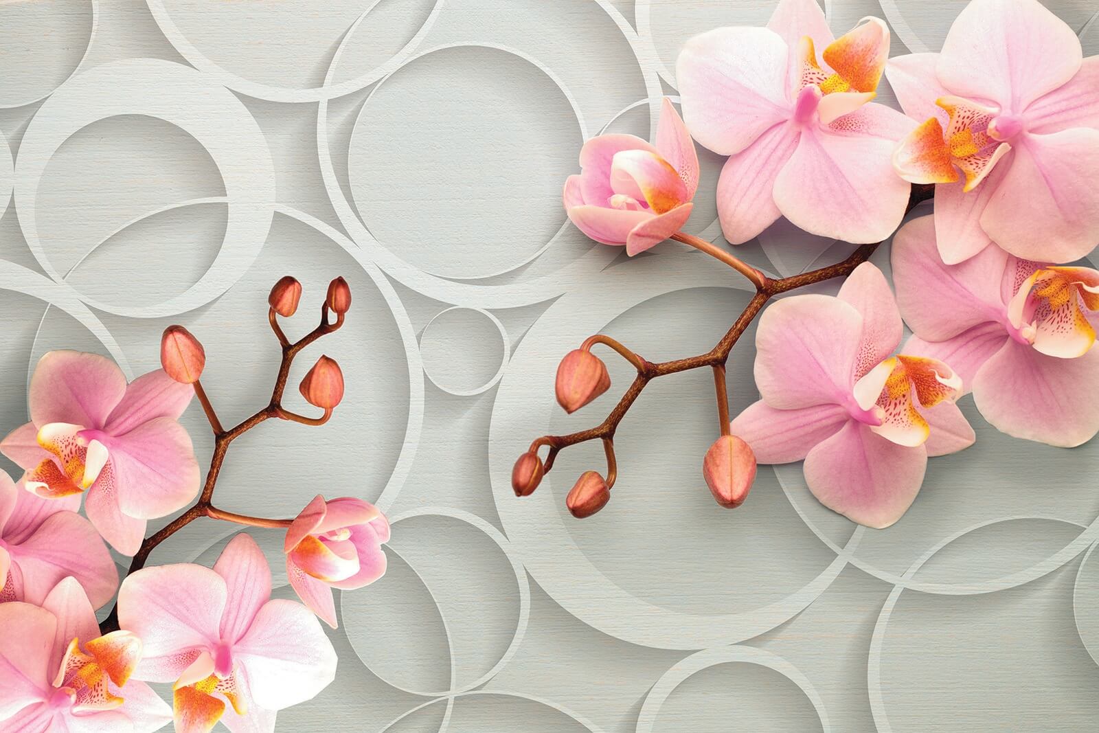 Jemné kvety na mäkkom pozadí u66595p - Jemné kvety na mäkkom pozadí - tegory