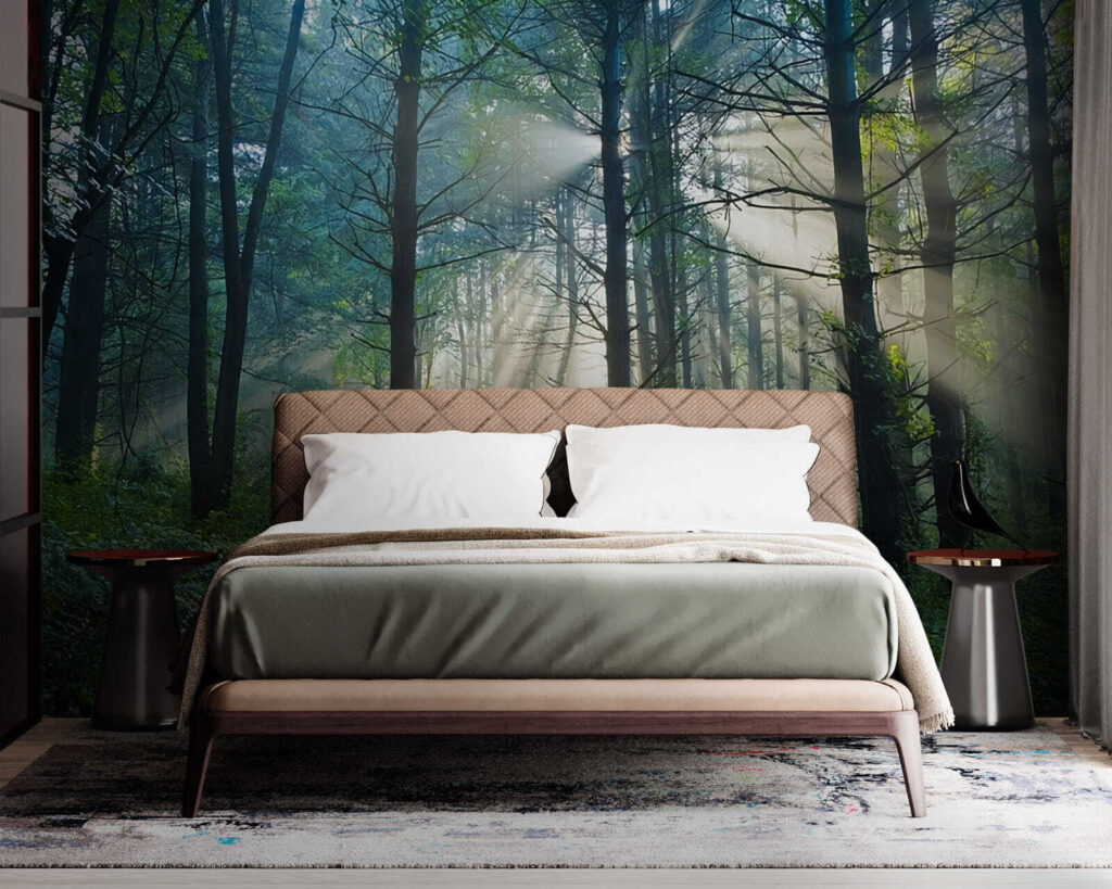 u70959pib1m 1024x819 - Slnko svietiace cez stromy v lese - tegory