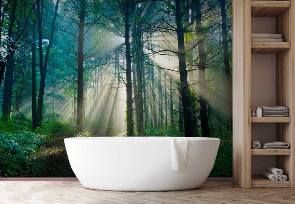 u70959pit1 1024x709 - Slnko svietiace cez stromy v lese - tegory