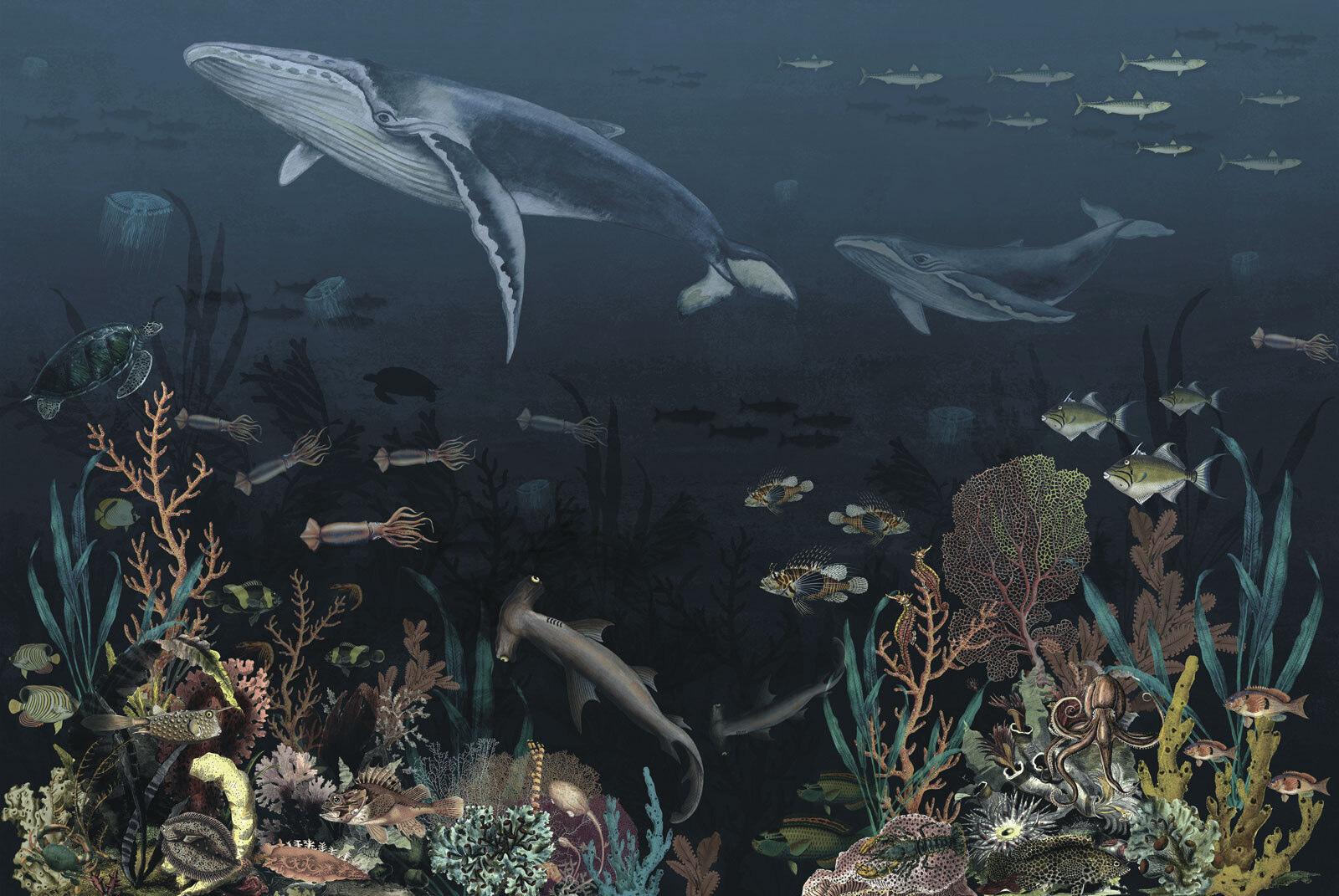 Group of fish and whales swimming in the ocean Group of fish and whales swimming in the ocean