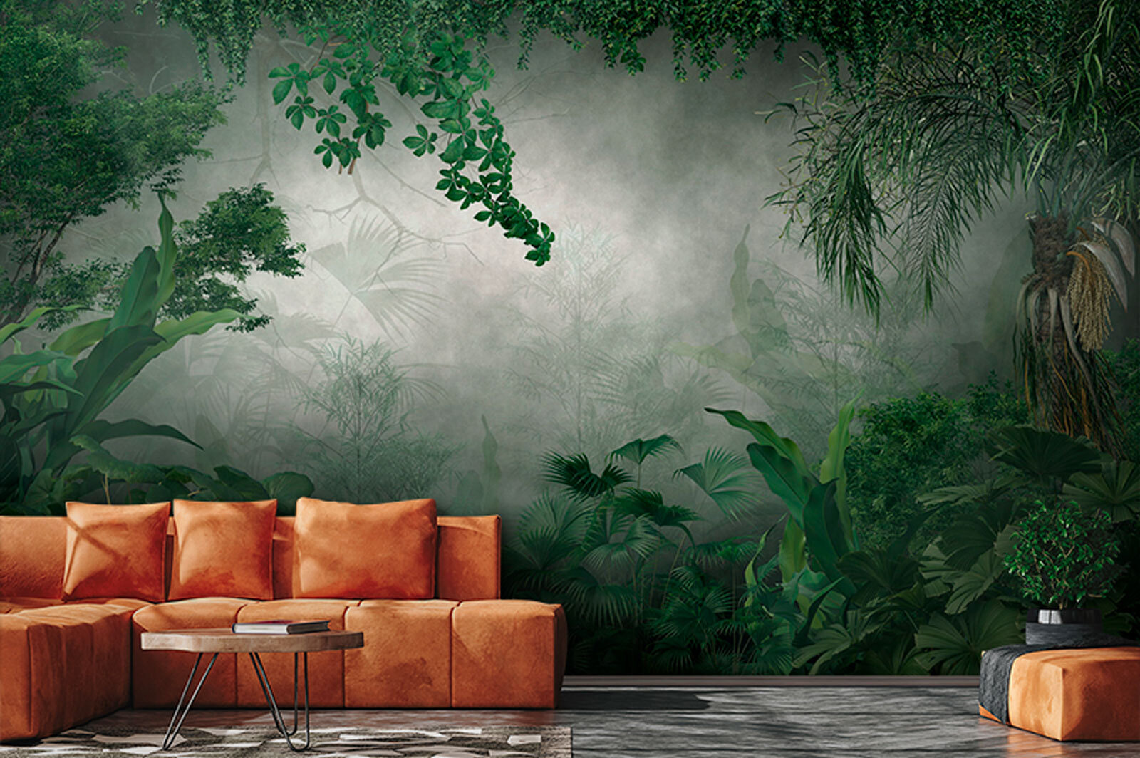 Foggy forest with plants and trees Foggy forest with plants and trees