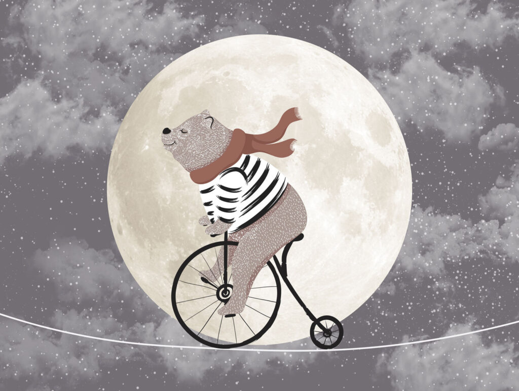 Medveď na bicykli Medveď na bicykli