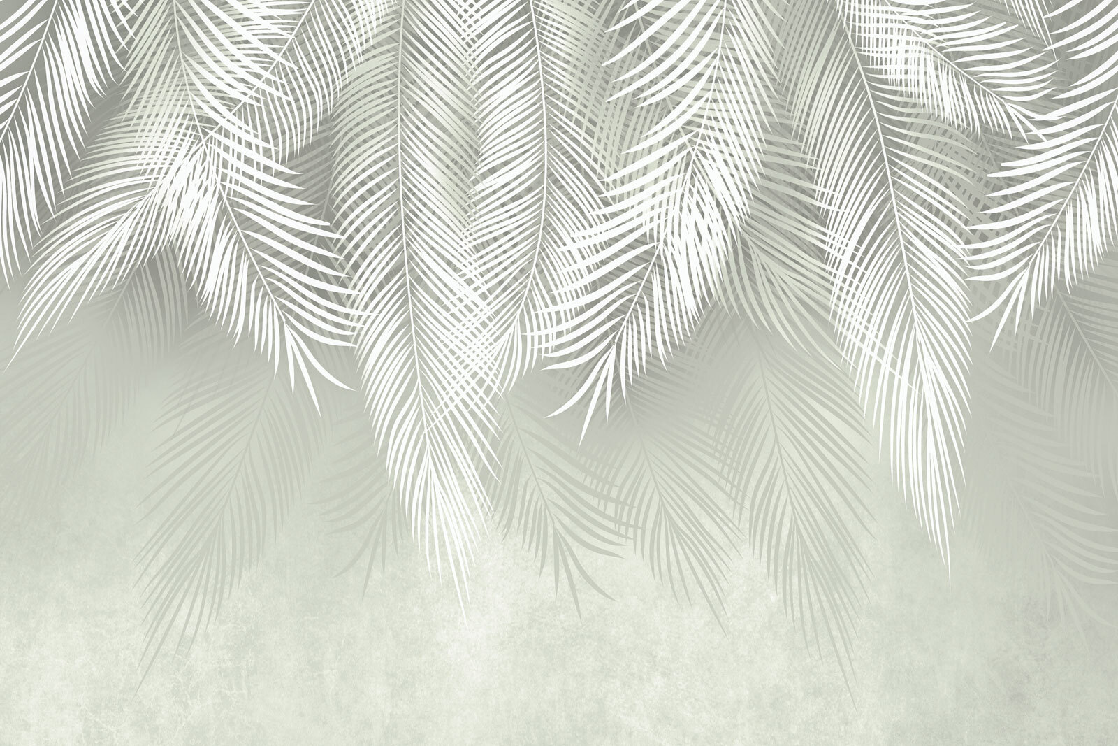 White leaves on a gray background