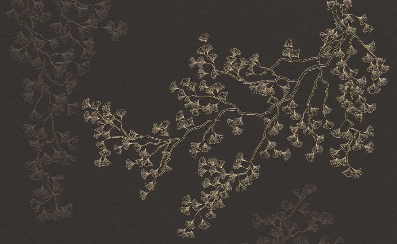 Branch with leaves on it Branch with leaves on it