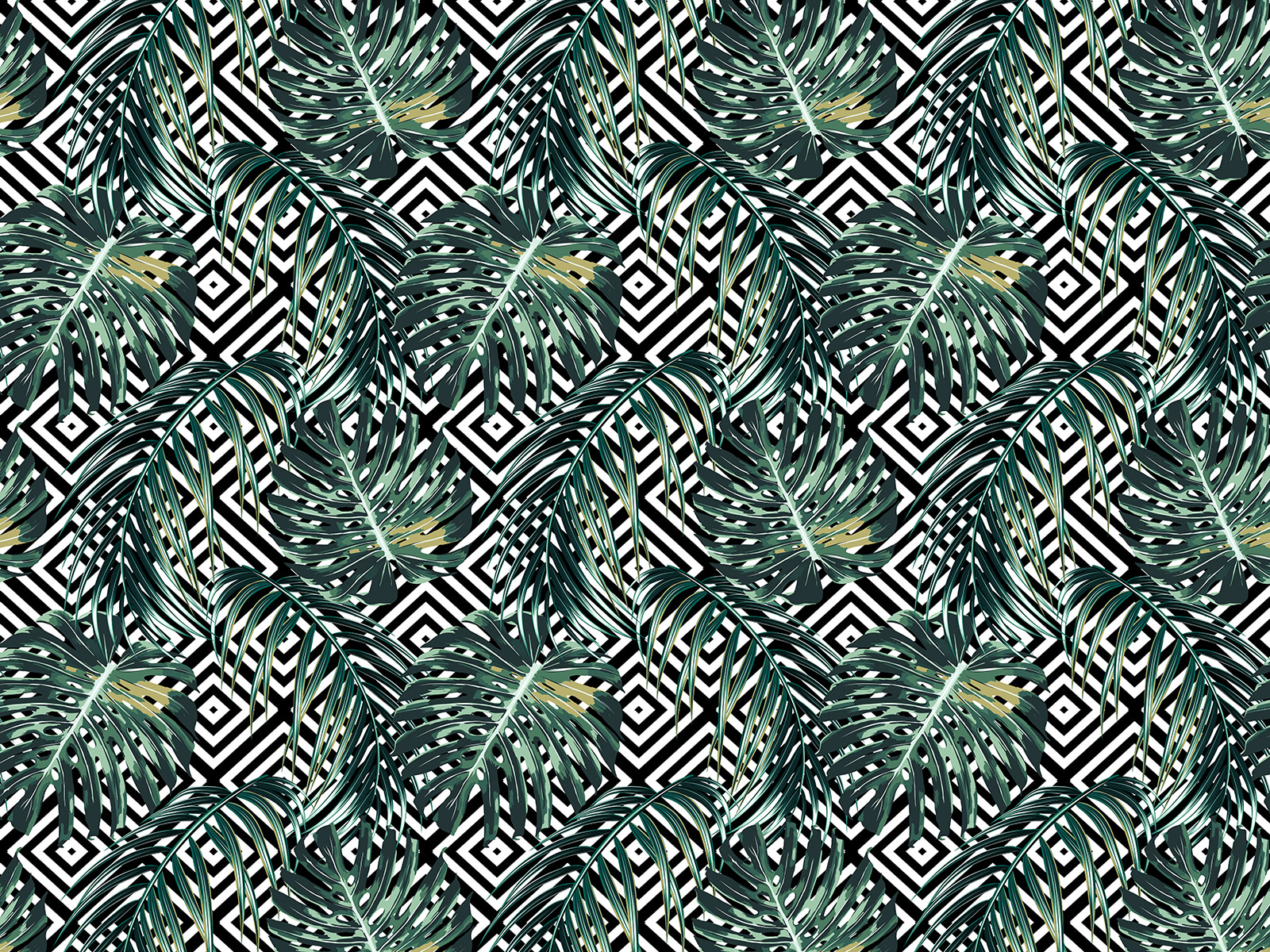 Vzor listov na čiernom a bielom pozadí u79688p - Vzor listov na čiernom a bielom pozadí - tegory