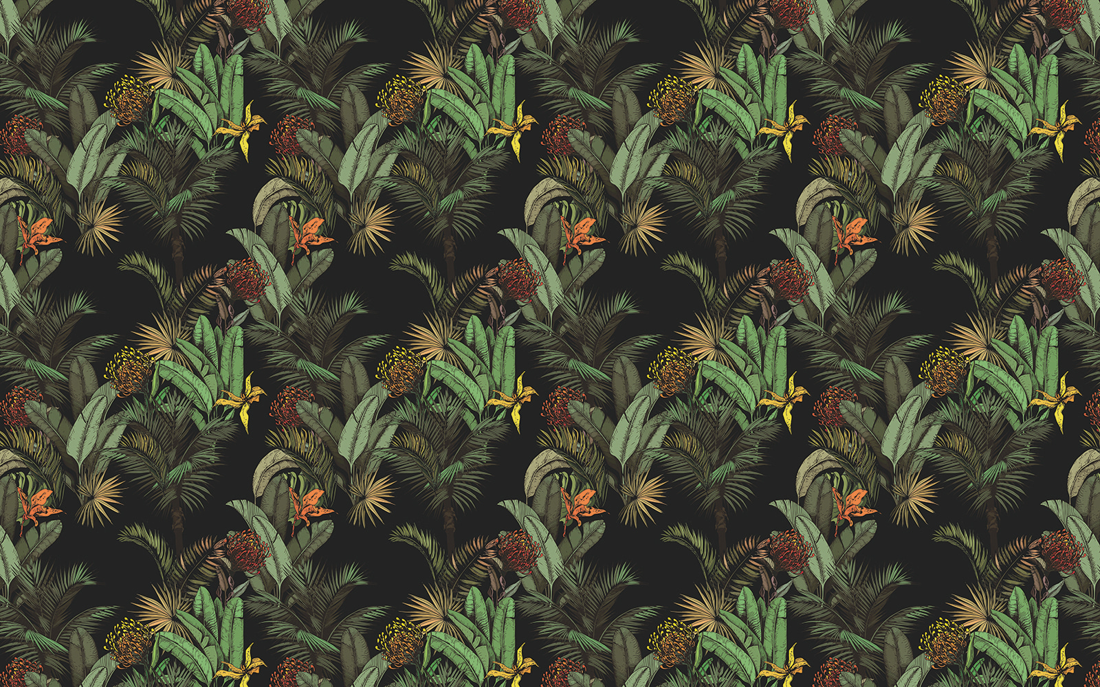 Pattern of tropical plants Pattern of tropical plants