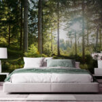 Fototapety Slnko svietiace cez stromy