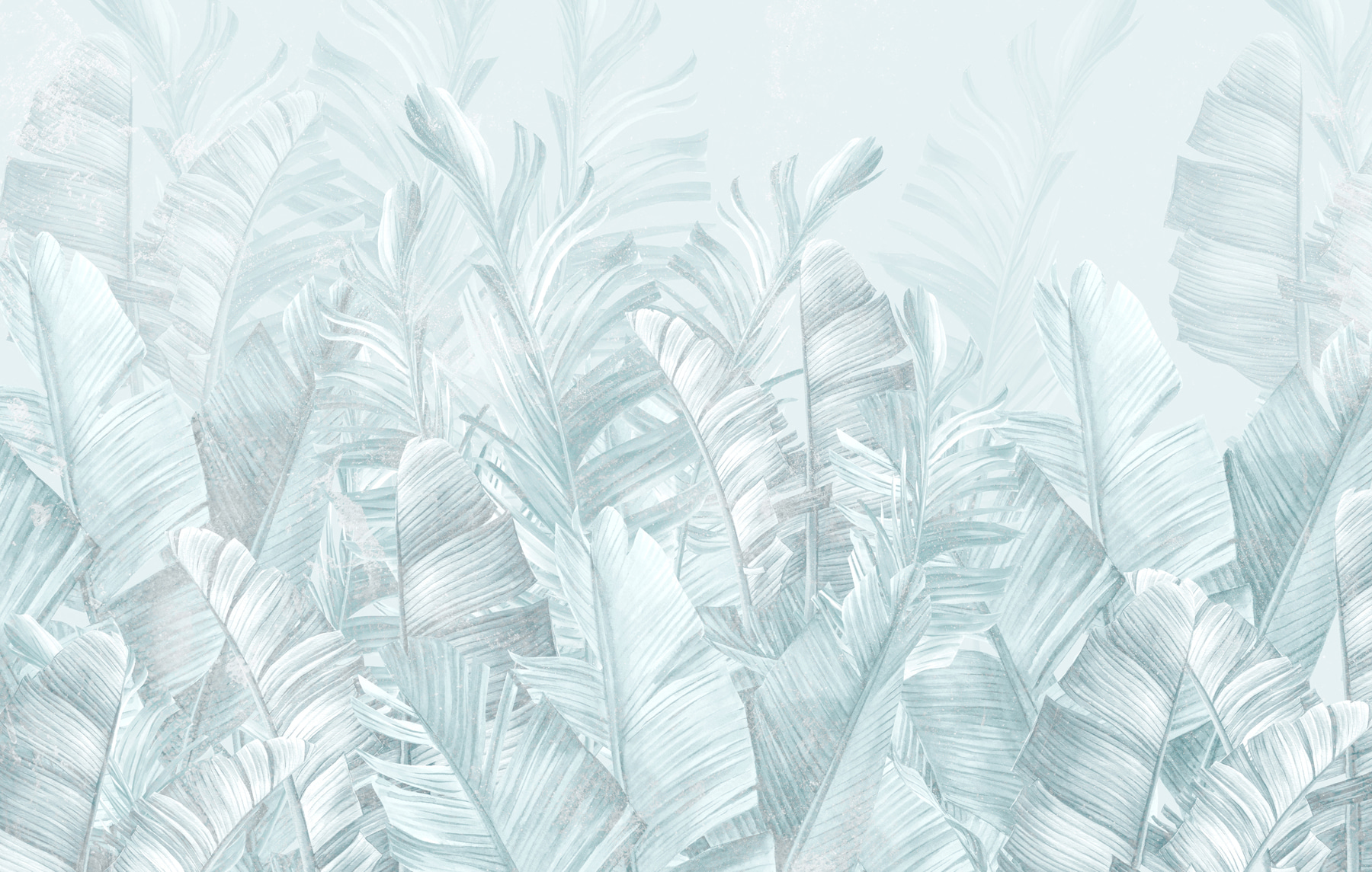 A group of white leaves A group of white leaves