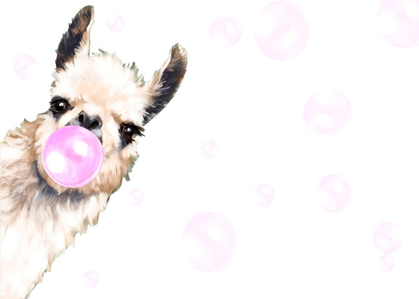 Lama fúka bublinu Lama fúka bublinu
