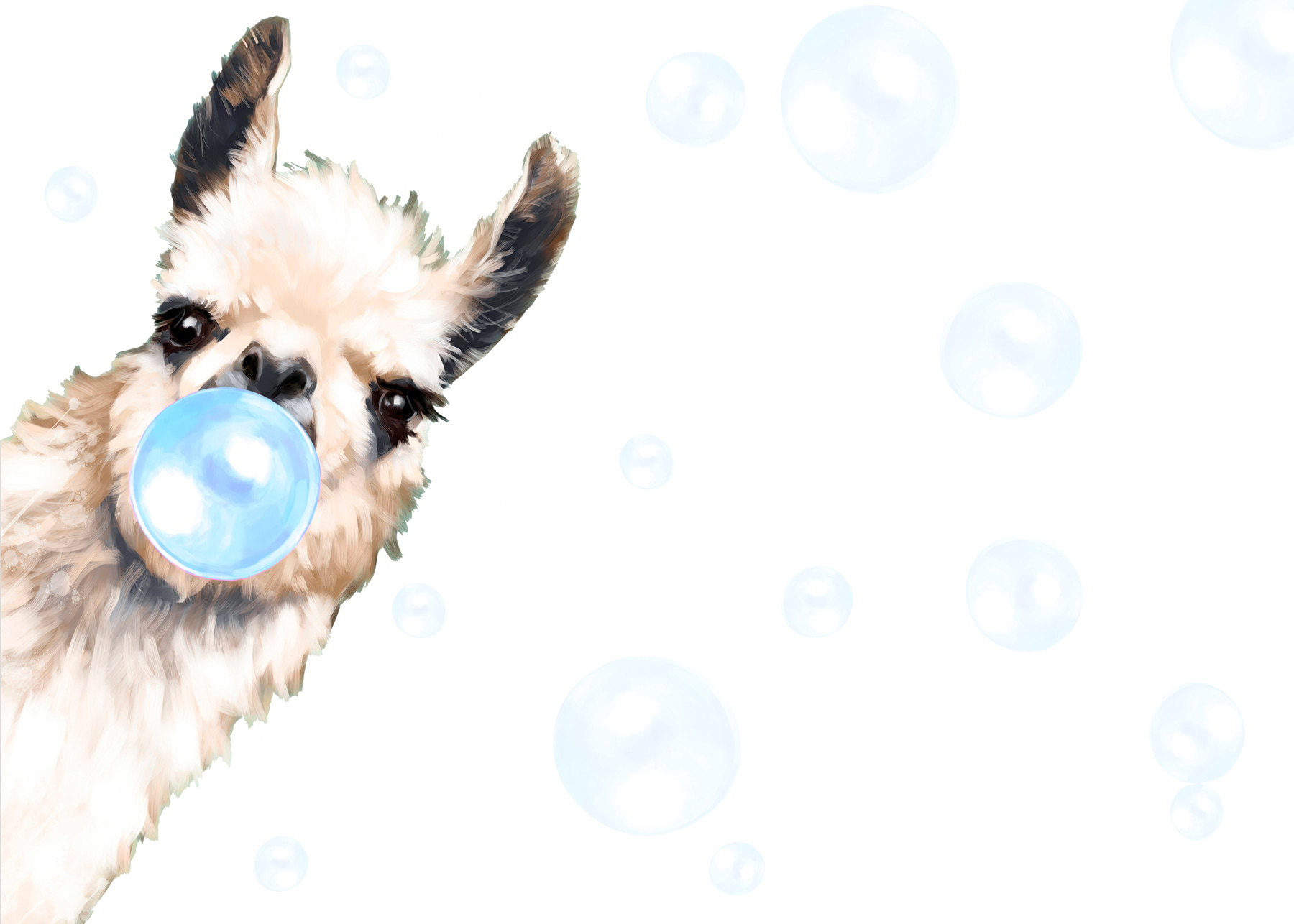 A llama blowing bubbles A llama blowing bubbles