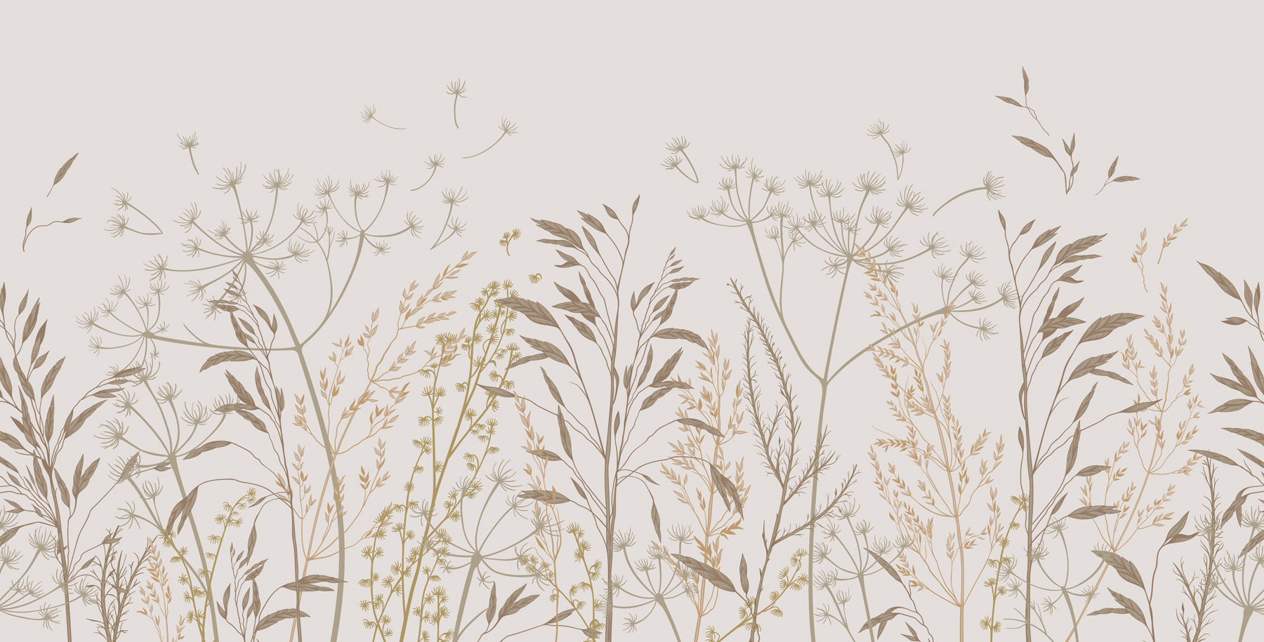 A close up of plants A close up of plants