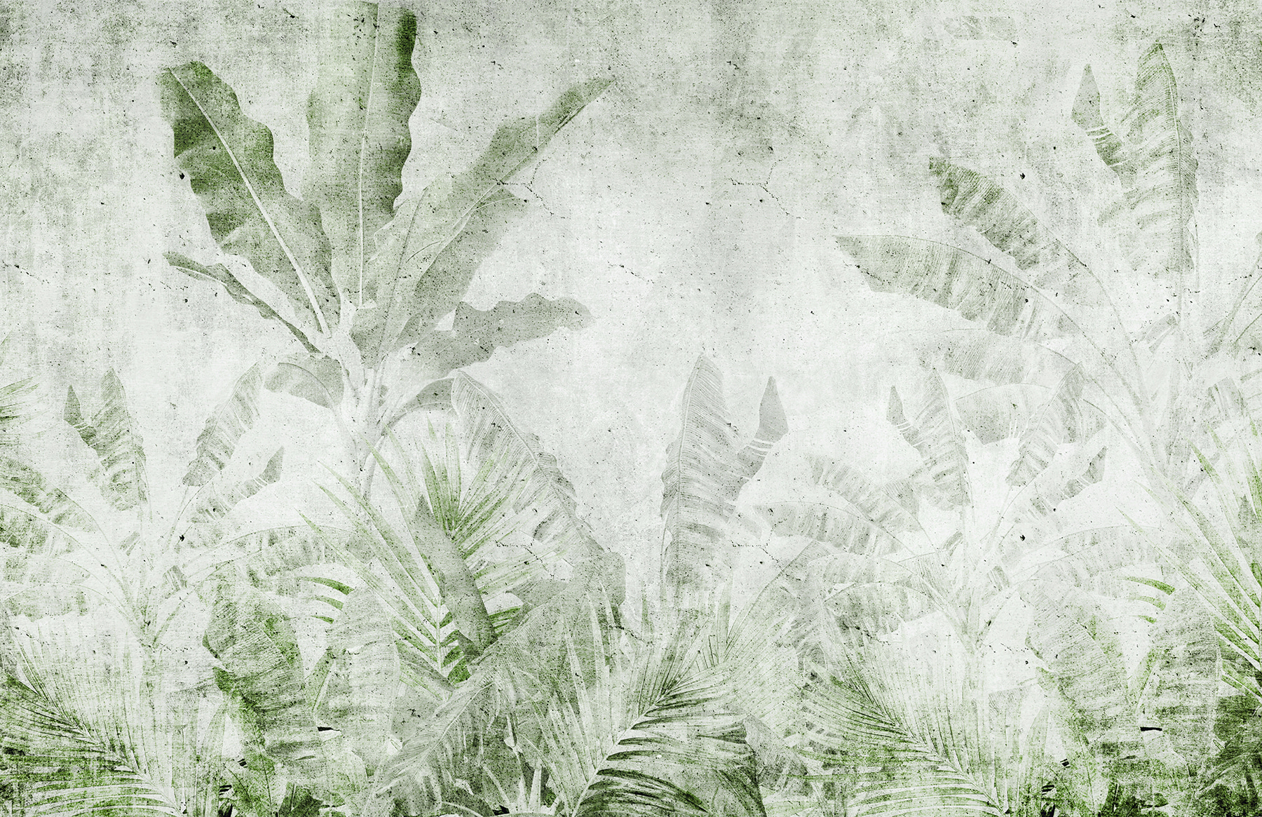 Textured leaves on a muted background Textured leaves on a muted background