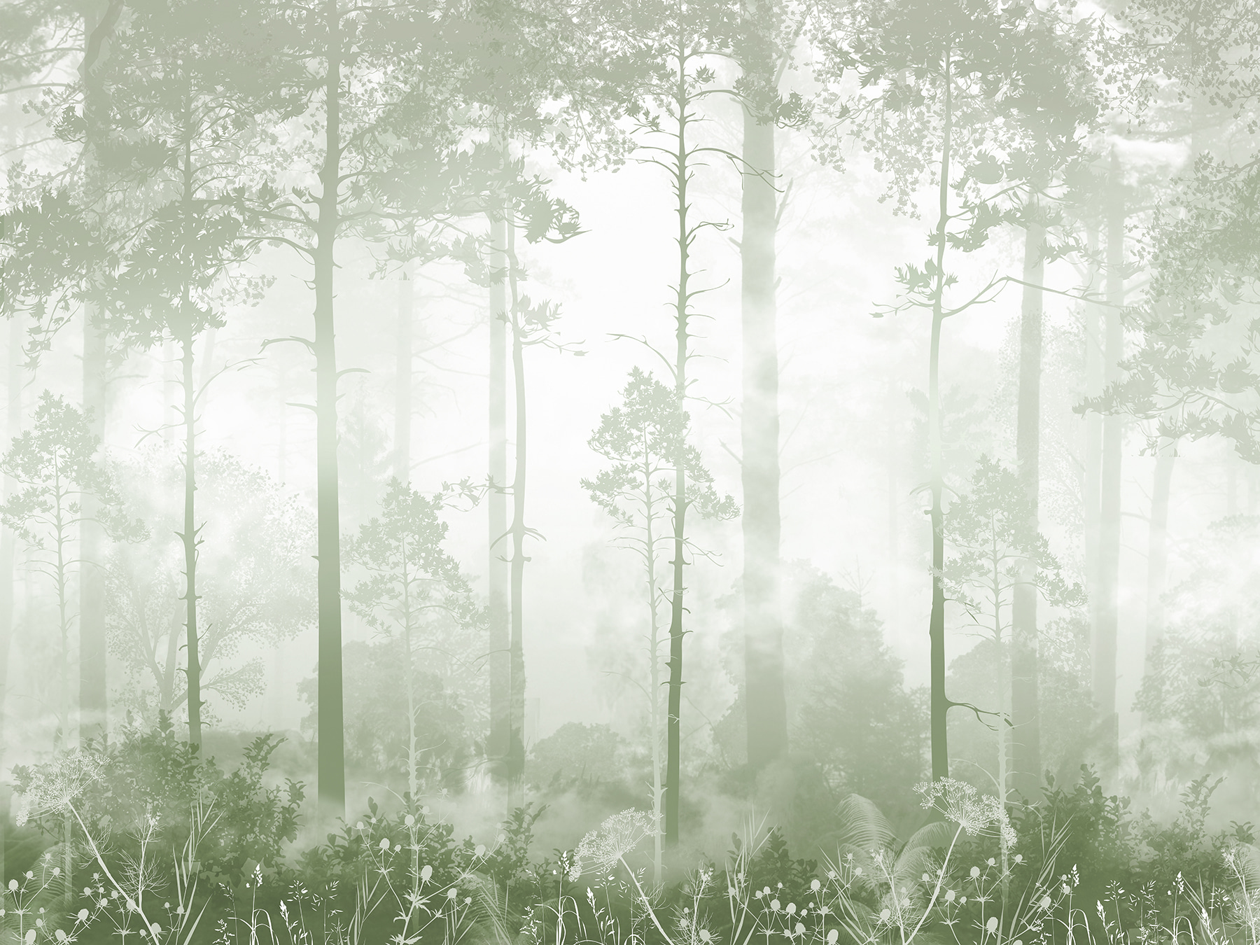 A foggy forest with tall trees