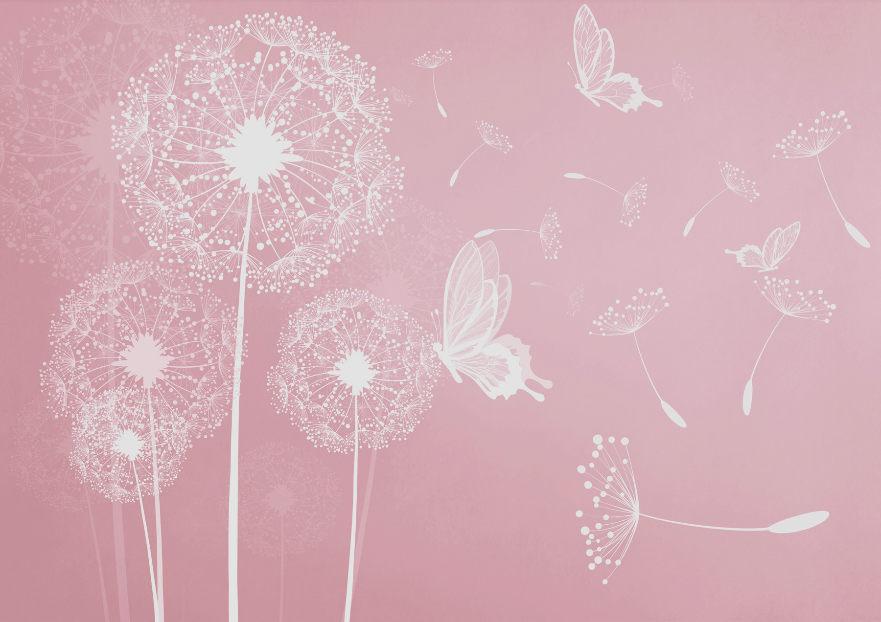 A pink background with white dandelions and butterflies