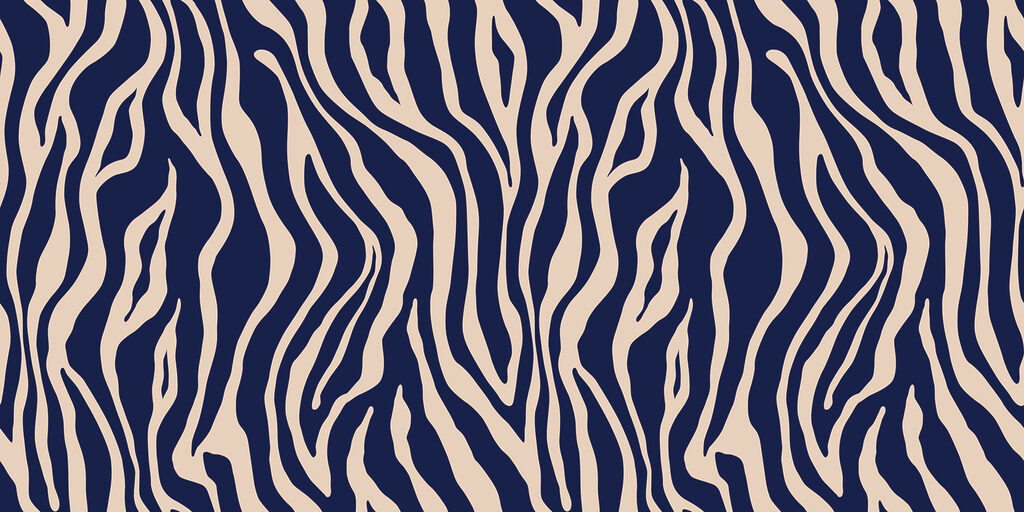 Modrá a biela zebra Modrá a biela zebra