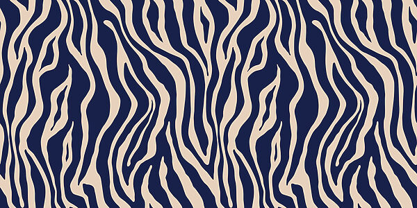 Modrá a biela zebra Modrá a biela zebra