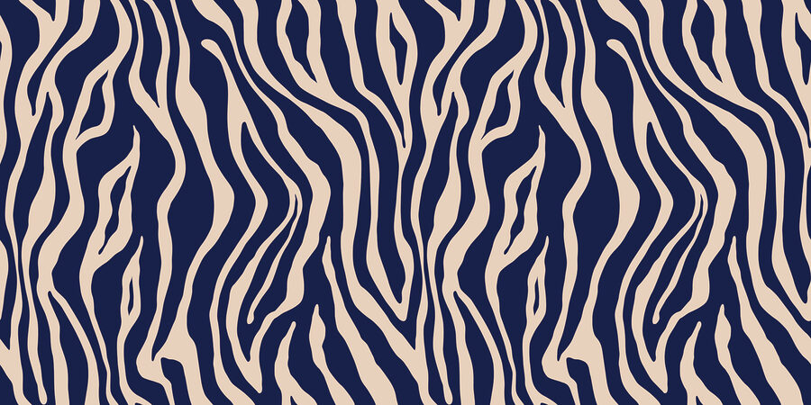 Modrá a biela zebra