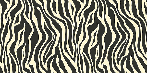 Čiernobiela zebra Čiernobiela zebra