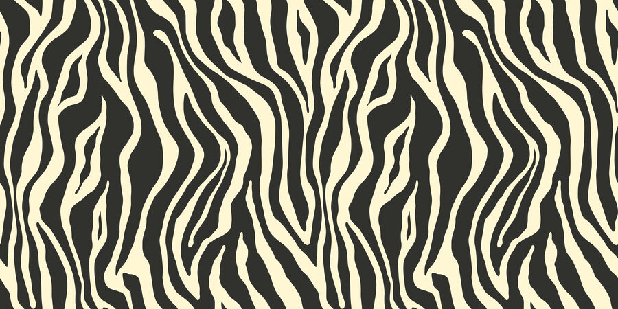 Čiernobiela zebra