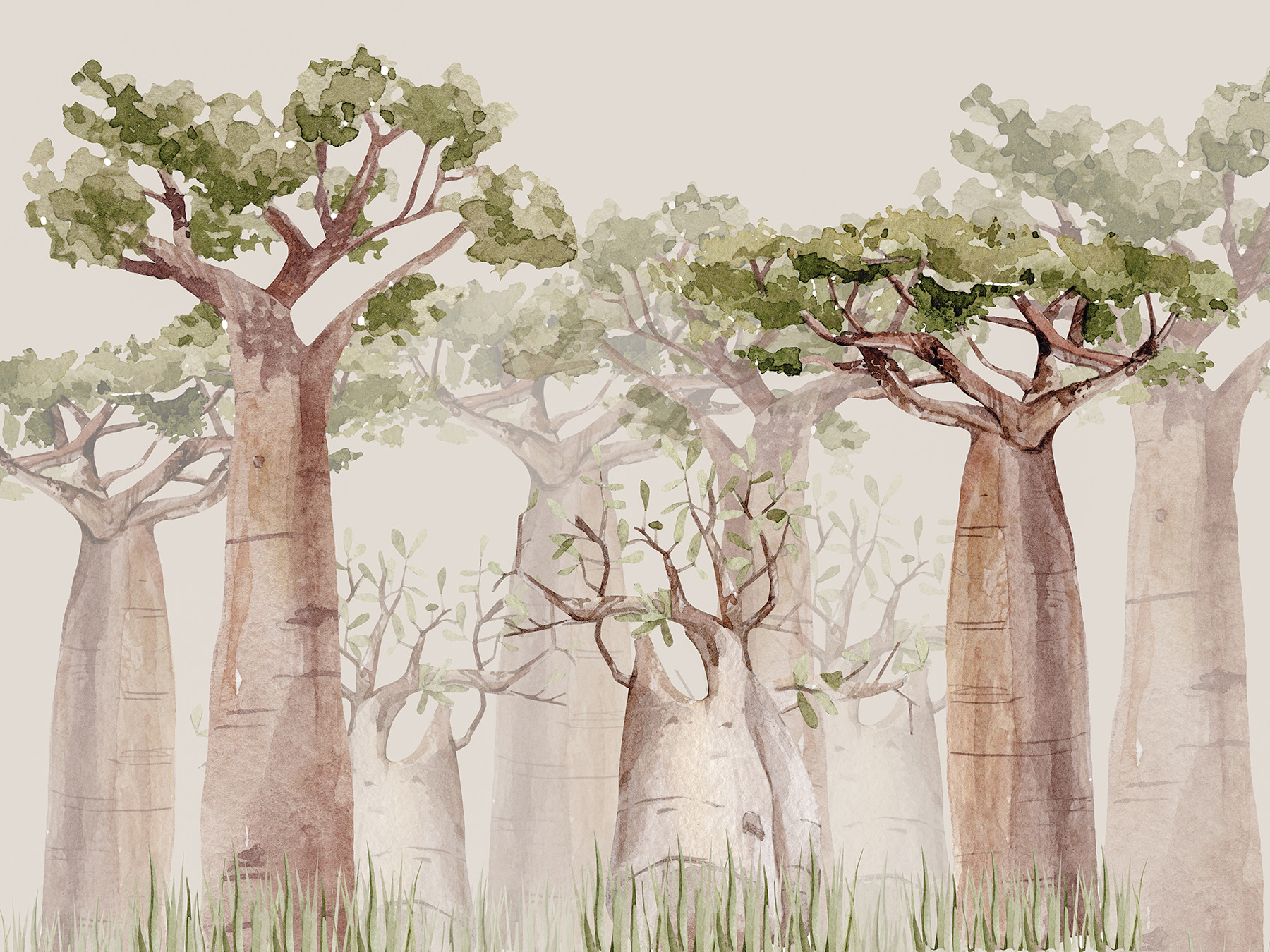 A group of trees with green leaves