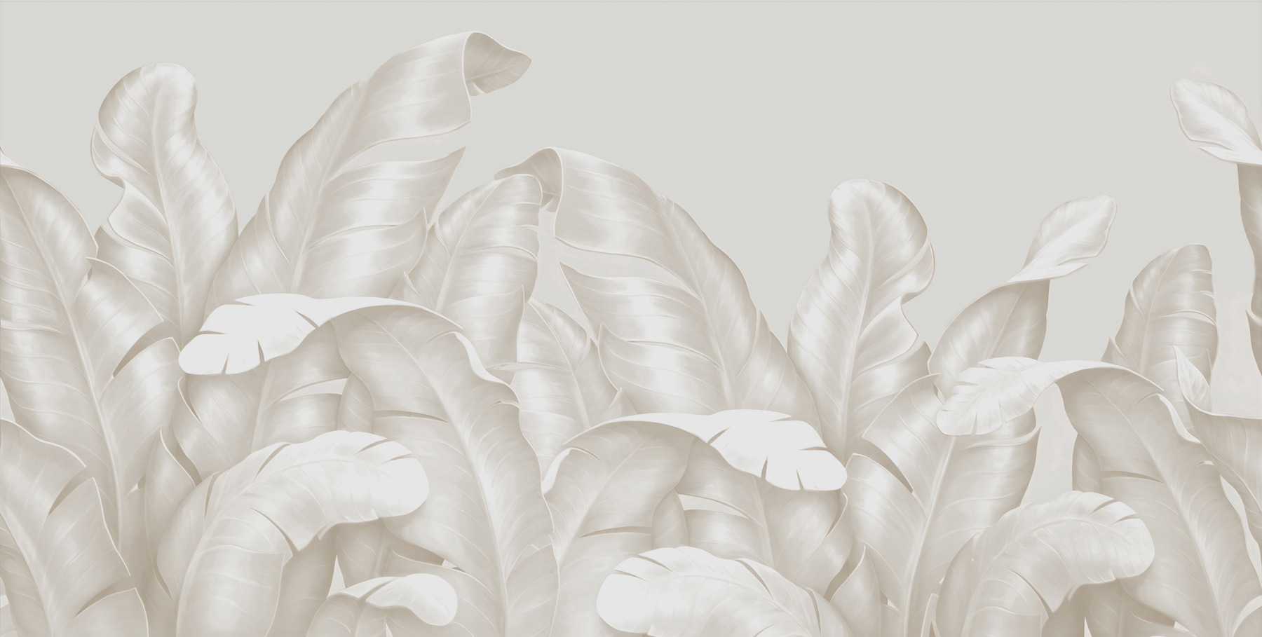 A close up of leaves A close up of leaves