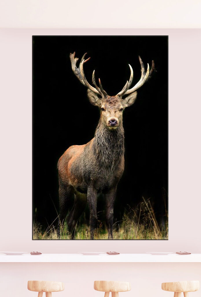 A deer with antlers standing in the dark