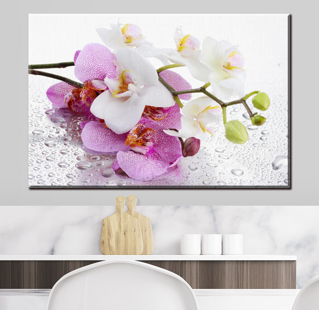 A close up of flowers A close up of flowers