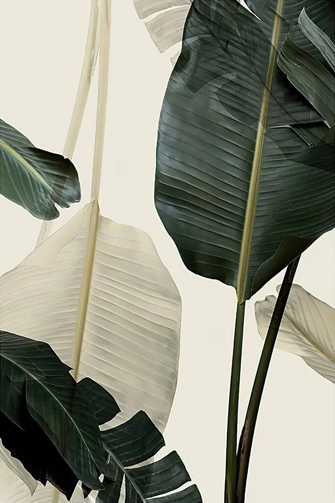 A close up of leaves A close up of leaves