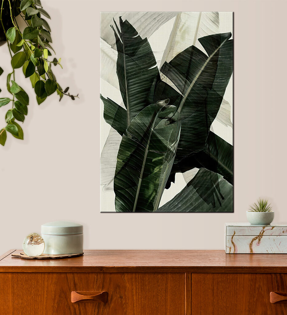 A close up of a plant A close up of a plant