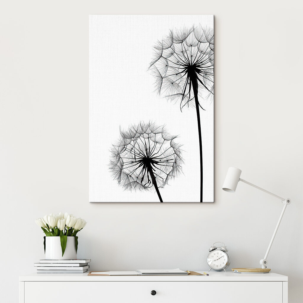 Delicate dandelions on a white background Delicate dandelions on a white background