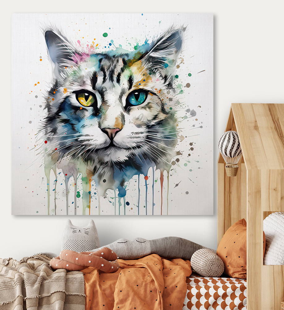 A cat with blue eyes A cat with blue eyes