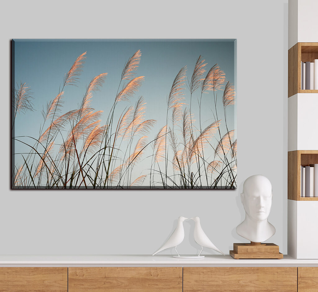 A group of tall grass A group of tall grass