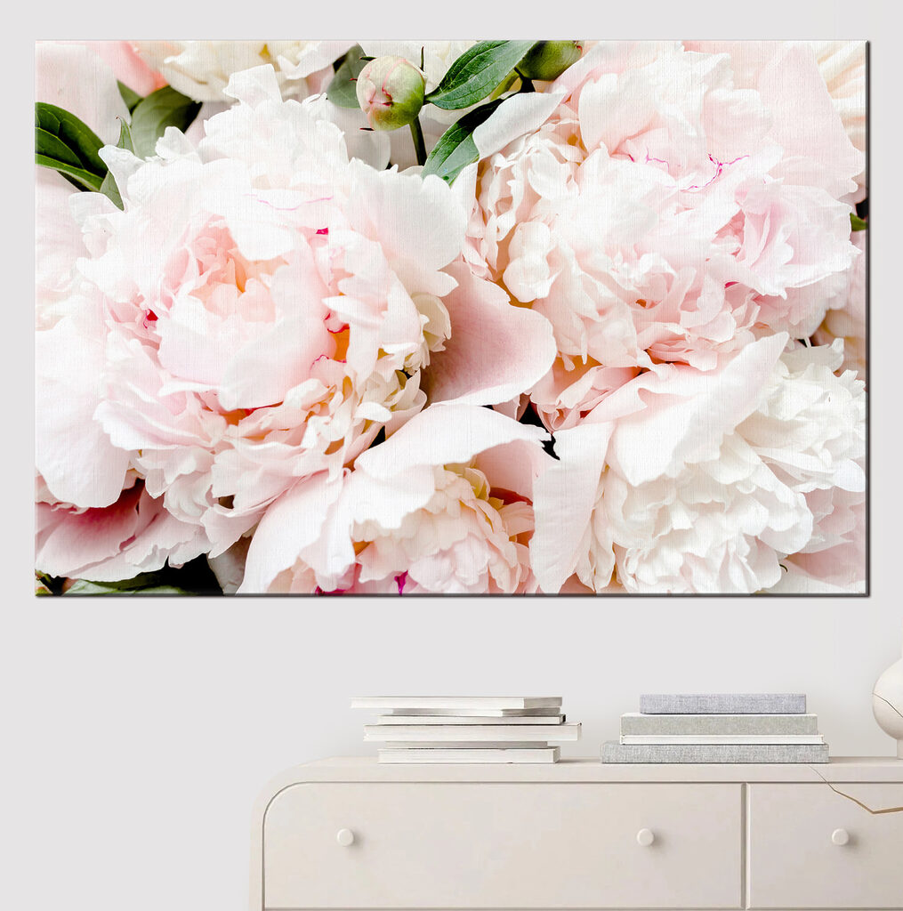 A group of pink flowers A group of pink flowers