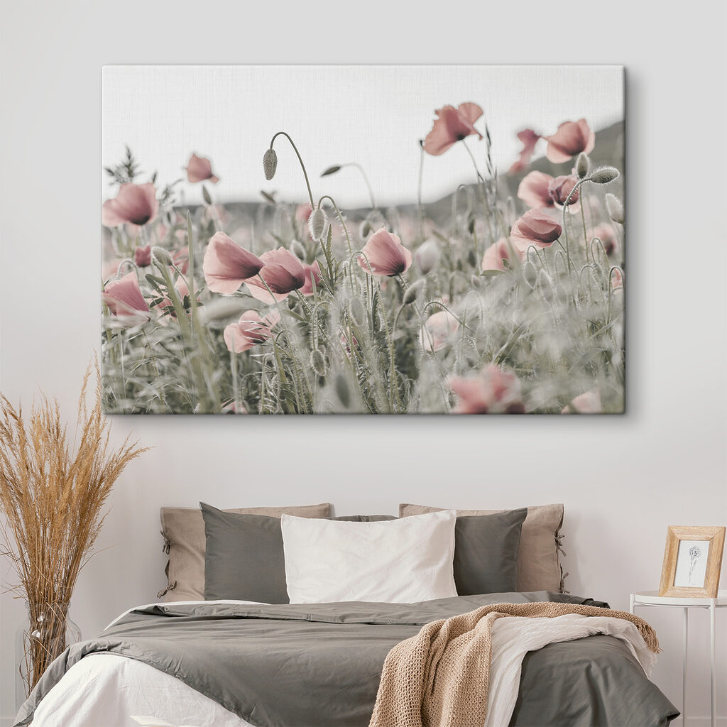 A field of pink flowers A field of pink flowers