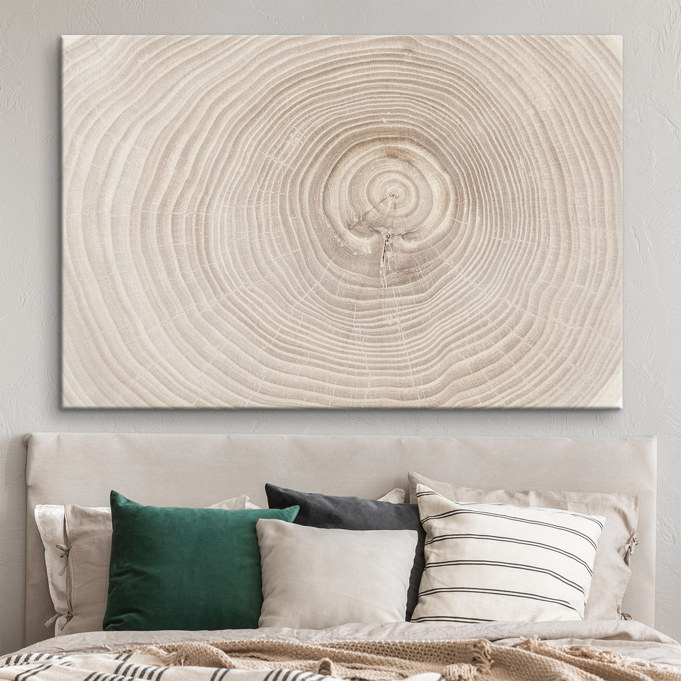 A close up of a tree trunk A close up of a tree trunk