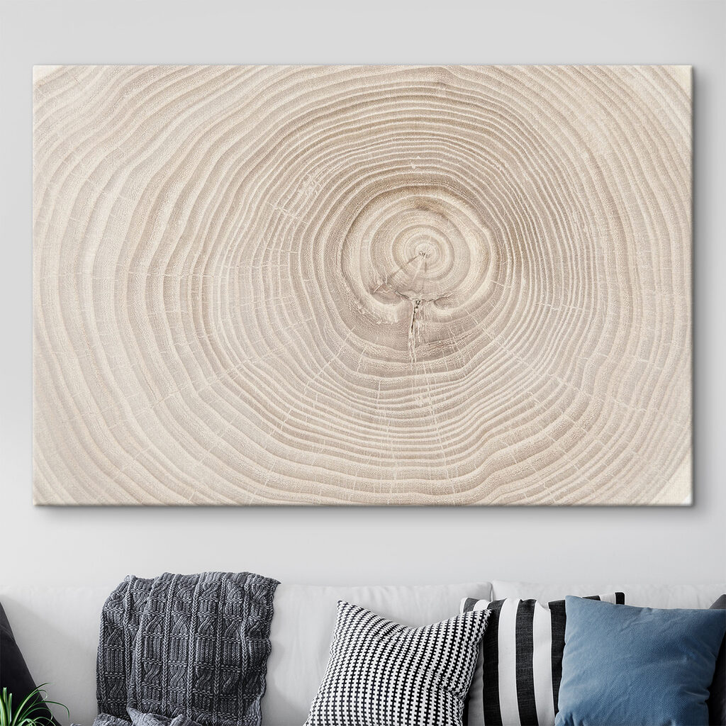 A close up of a tree trunk A close up of a tree trunk