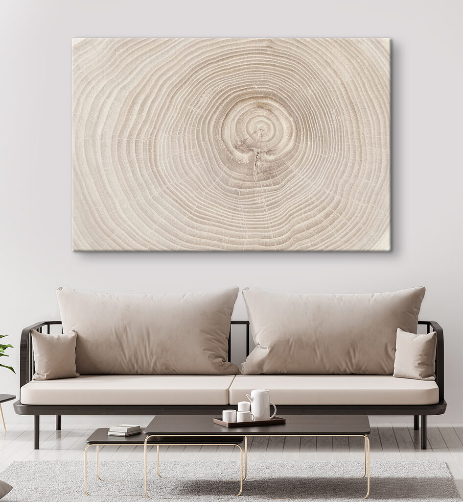 A close up of a tree trunk A close up of a tree trunk