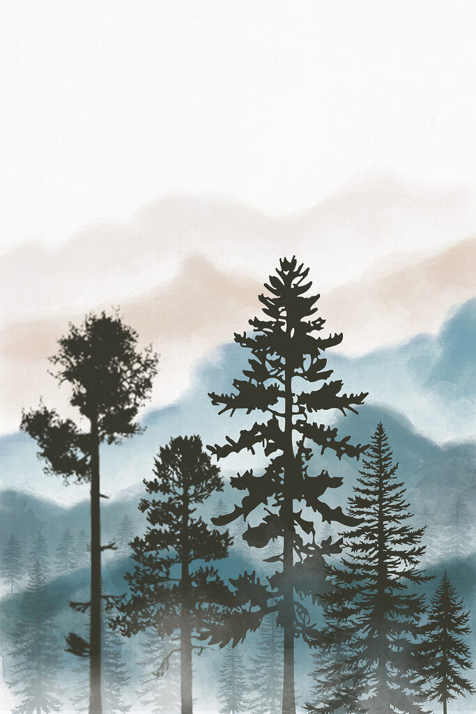A group of trees in the mountains