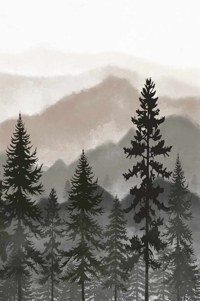 A group of trees in a forest