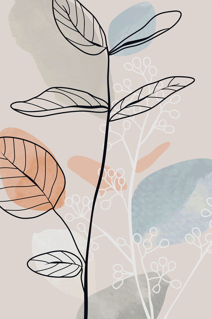 A drawing of a plant A drawing of a plant