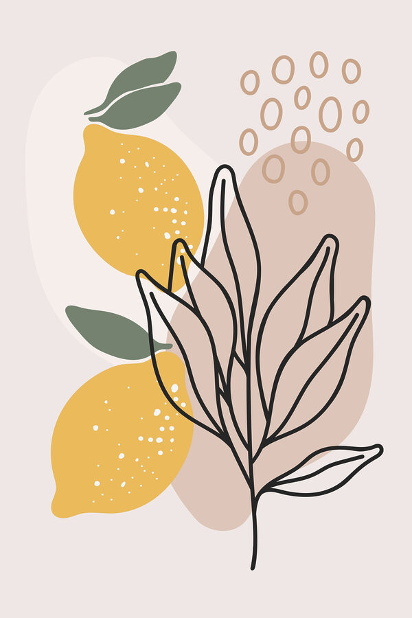A lemons and leaves drawn on a white background