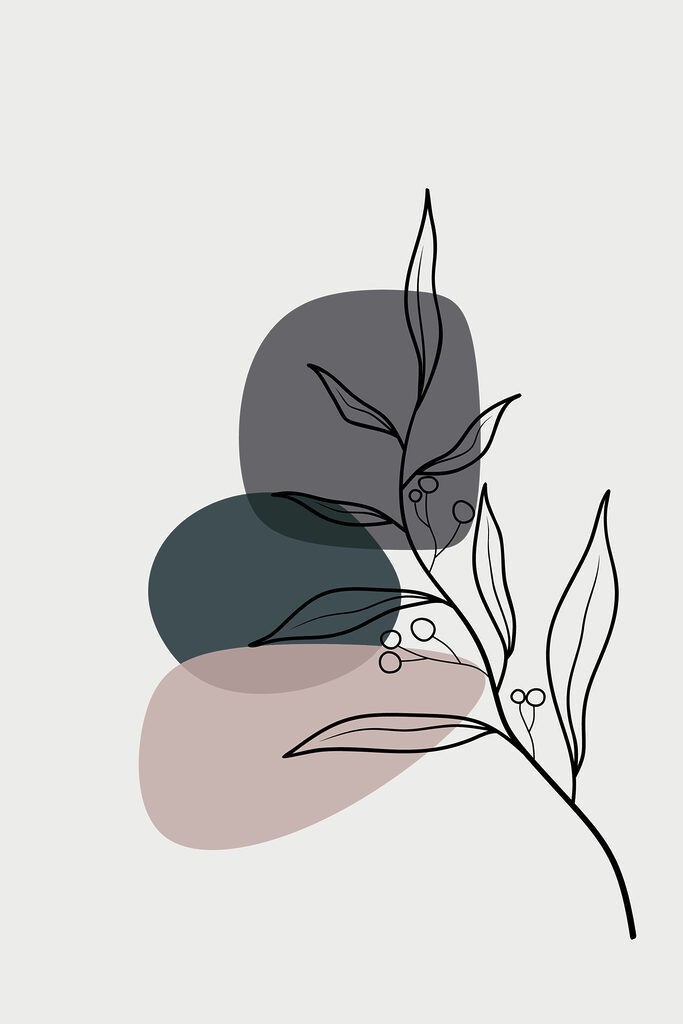 A drawing of a plant A drawing of a plant