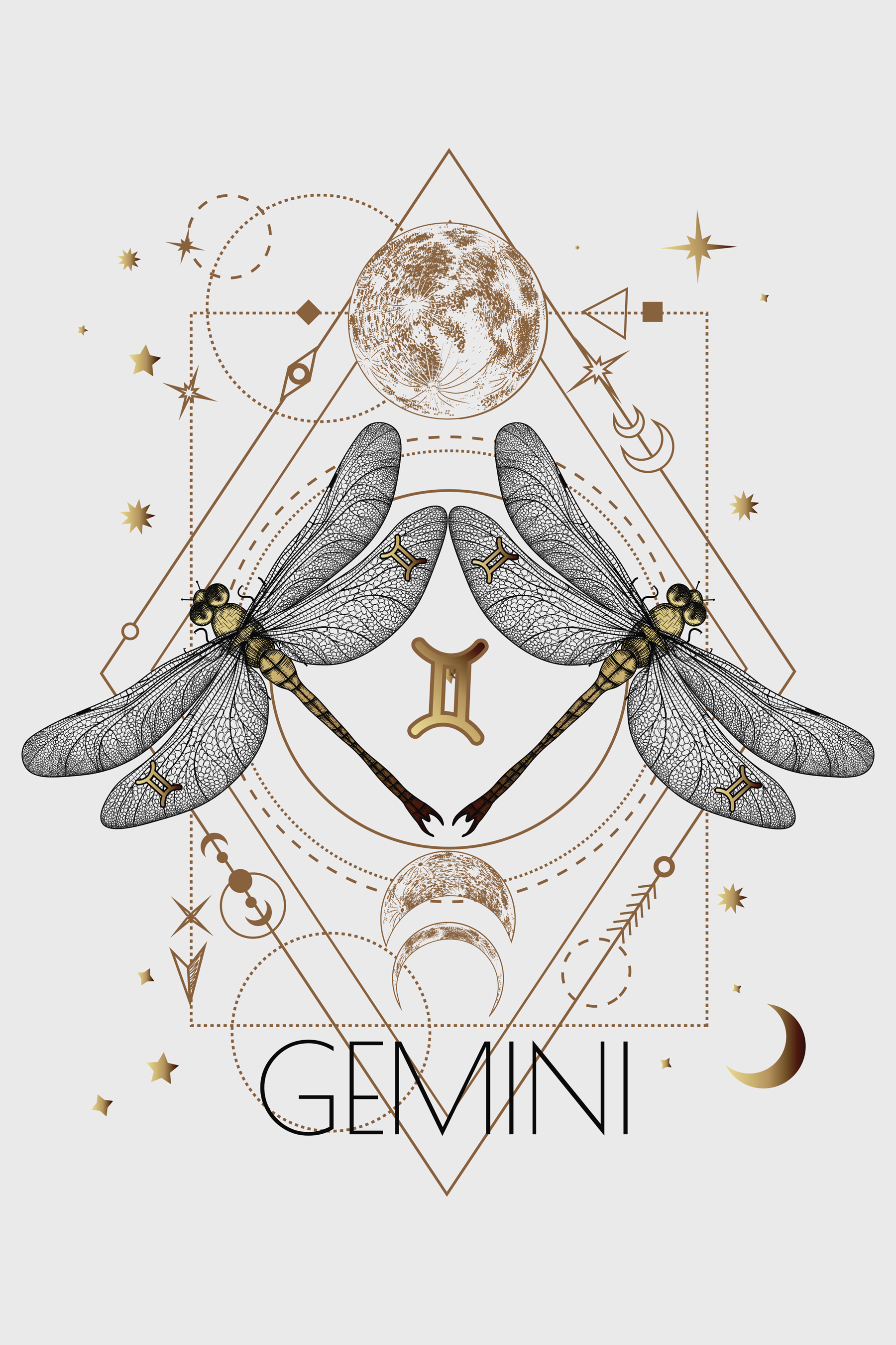 A dragonfly with a moon and stars