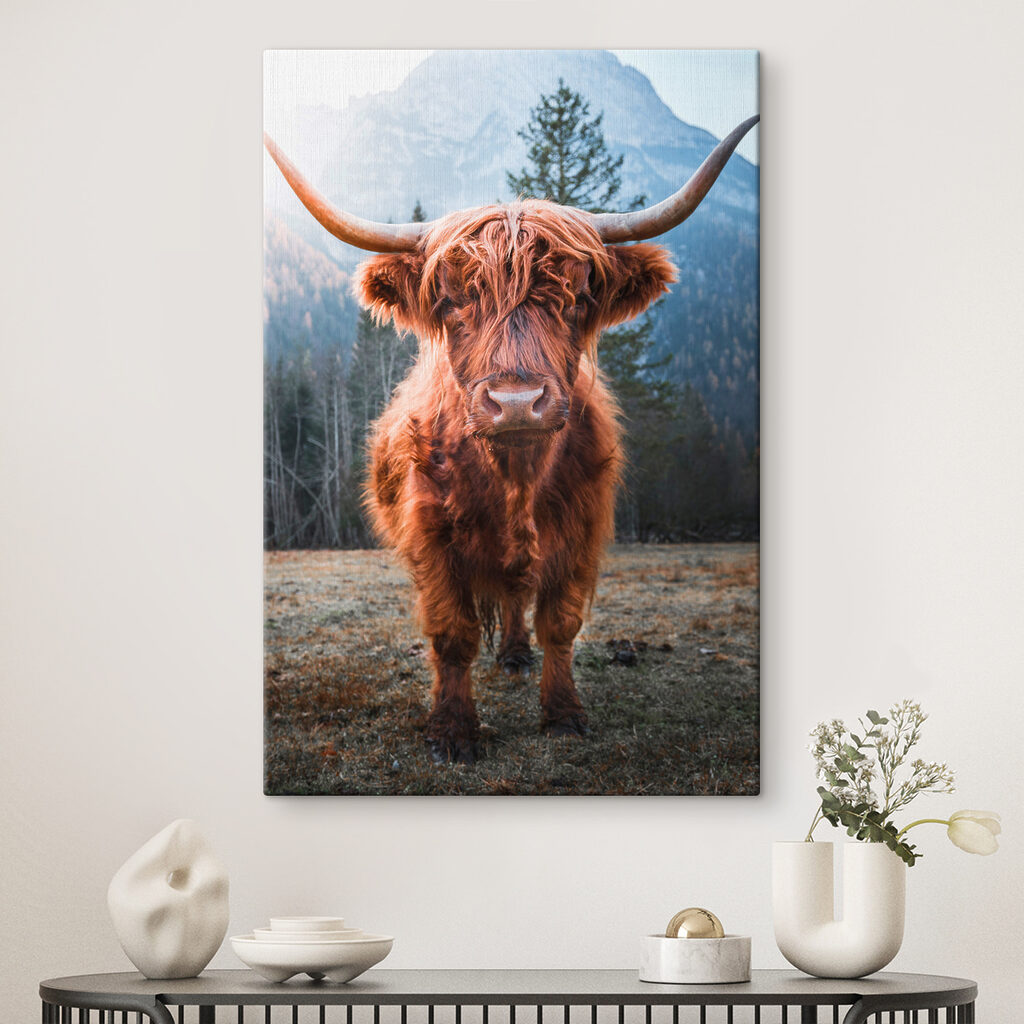 A yak with long horns standing in a field