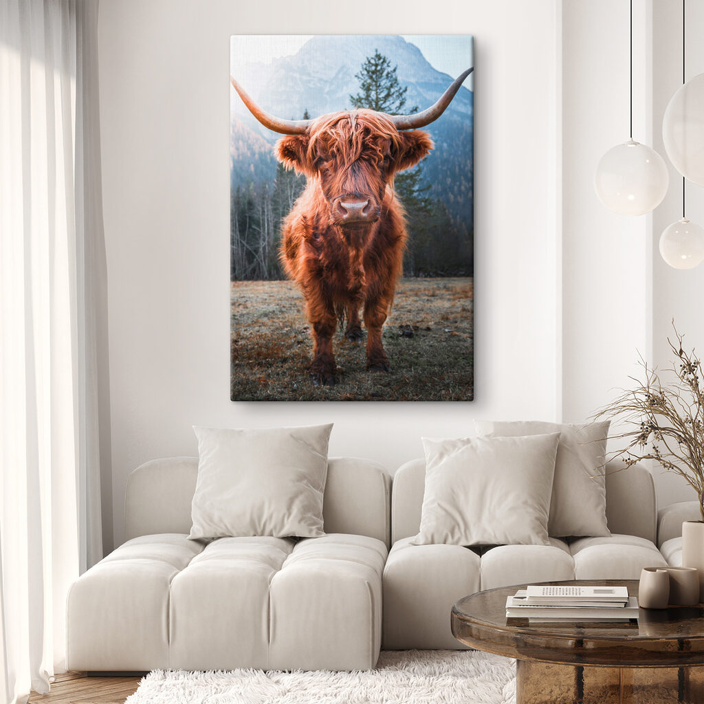 A yak with long horns standing in a field