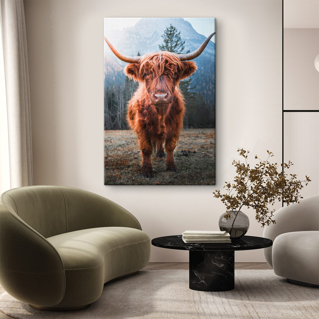 A yak with long horns standing in a field
